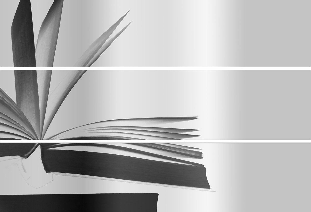 啃书网最新动态引领阅读新时代风潮