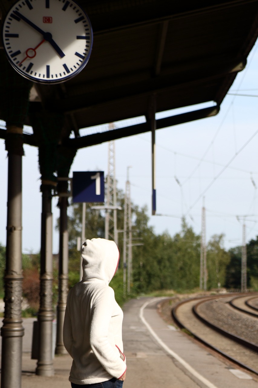 全球共同应对挑战与希望之光,最新疫情来宾动态更新