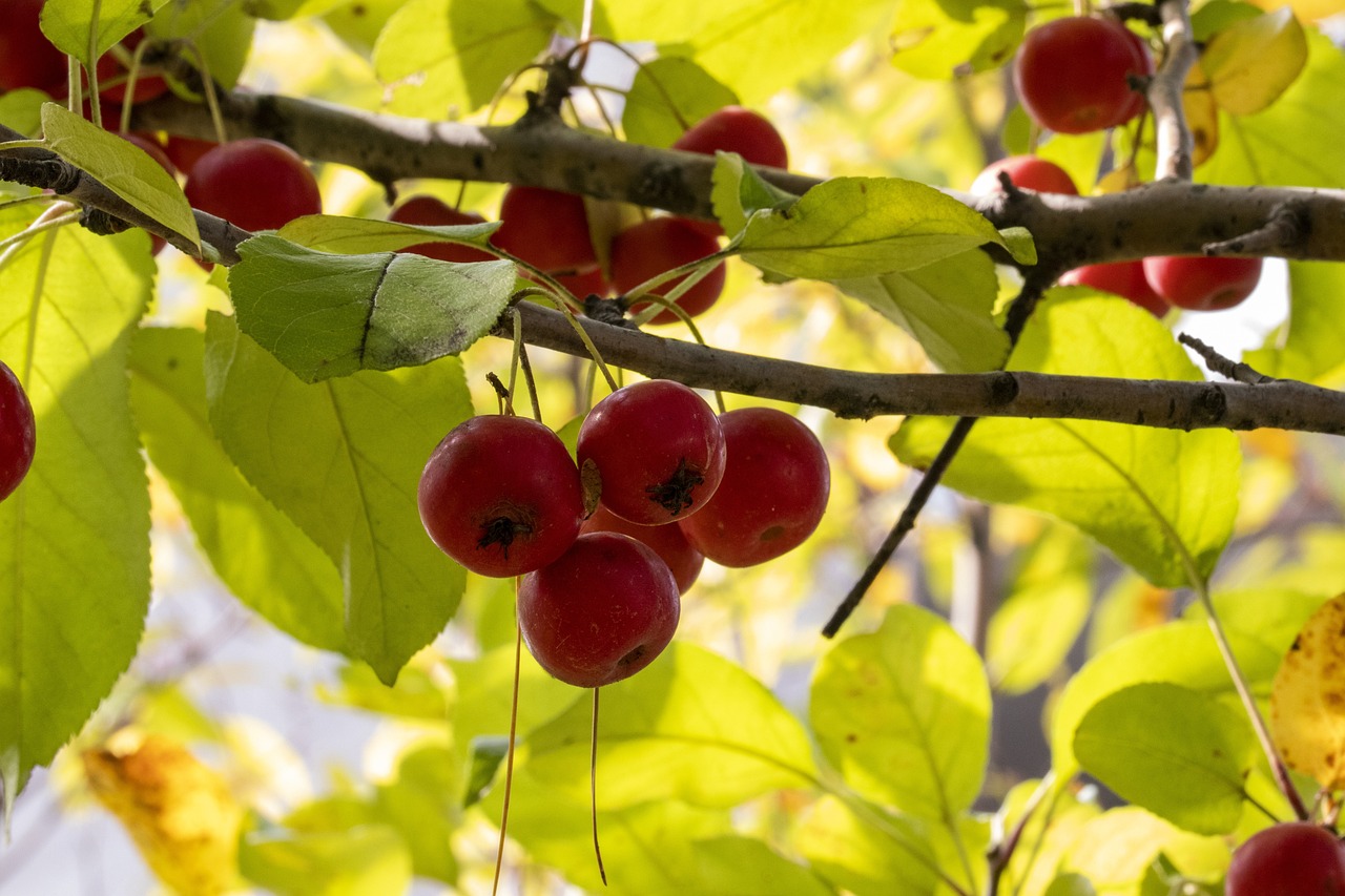 河北宣工最新动态报道